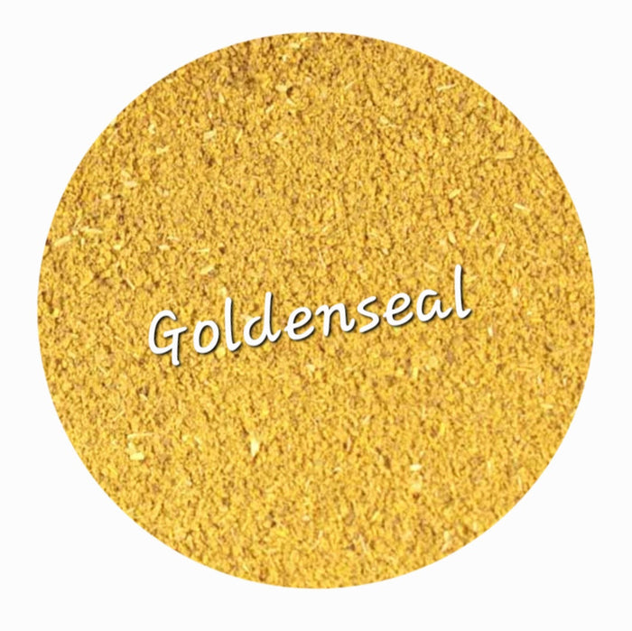 Goldenseal Root | Immune Defense & Mucus Membrane Support
