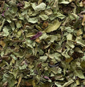 Echinacea herb c/s