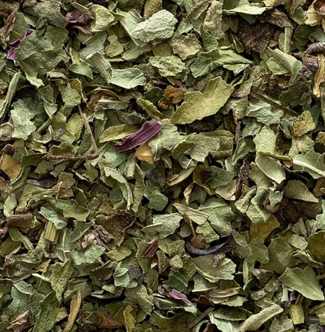 Echinacea herb c/s