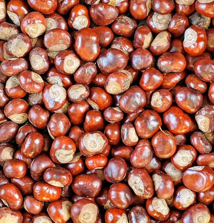 Horse Chestnut Powder