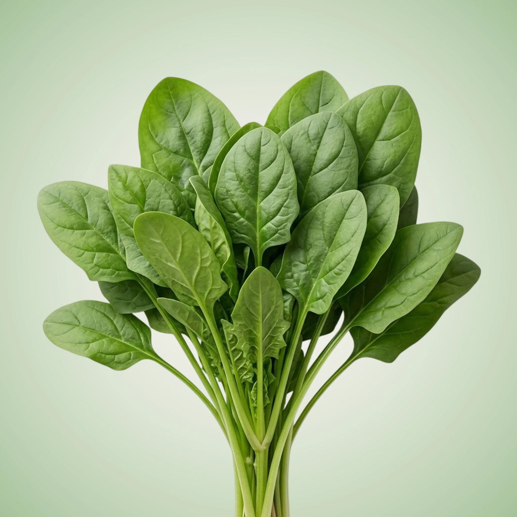 Spinach (Space) Seeds