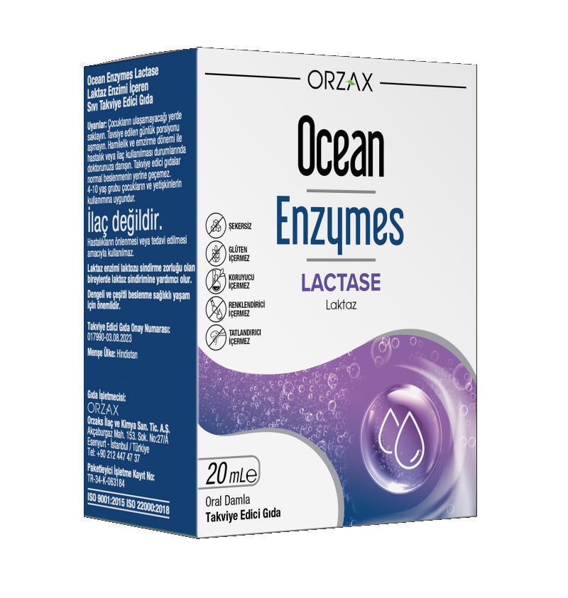 Ocean Enzymes Lactase Drops 20 Ml - Lactase Enzyme Supplement Drops for Lactose Intolerance Relief