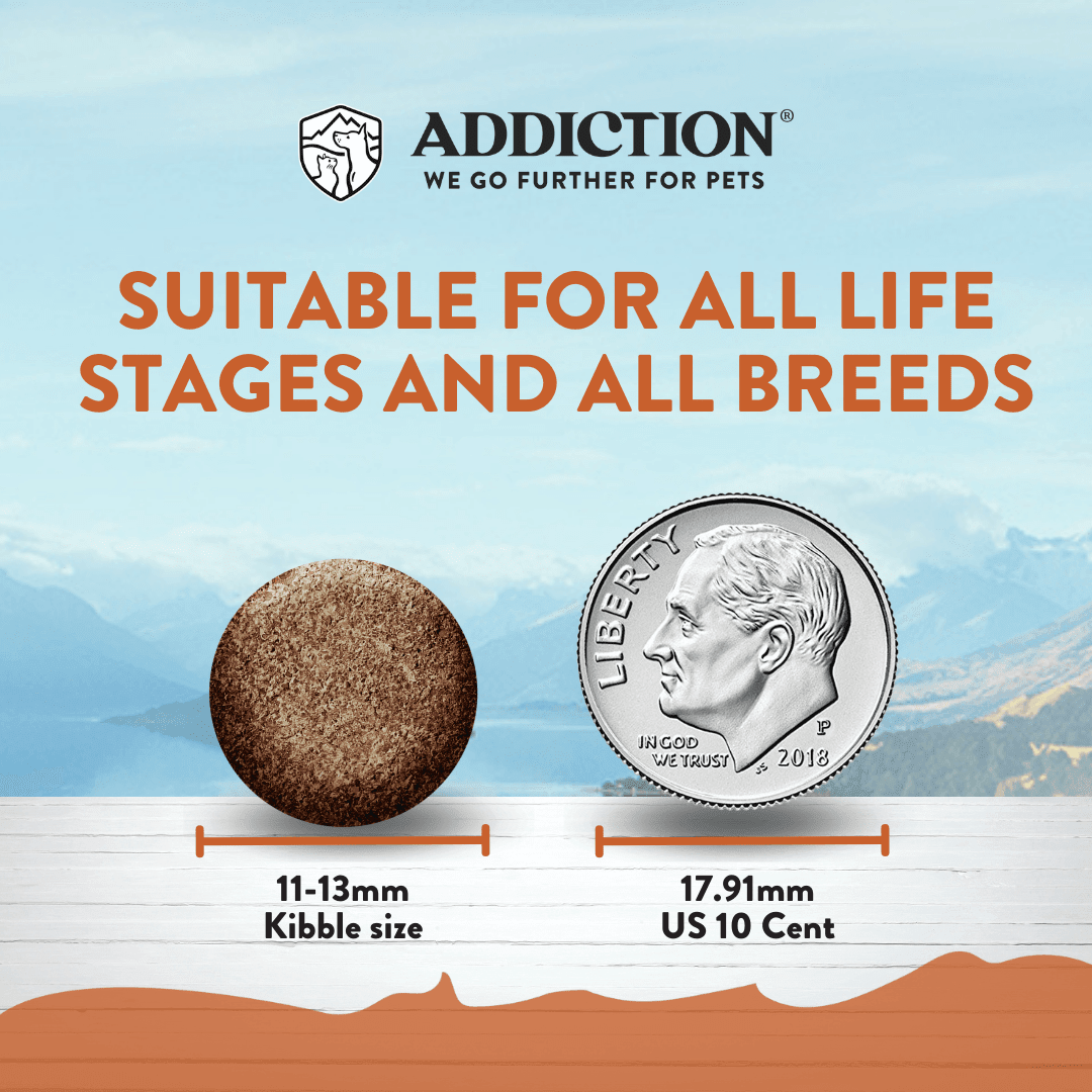 Addiction Wild Kangaroo Dry Dog Food & Meaty Bites Dog Treats Bundle