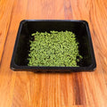 Basil Lemon Microgreens Seeds