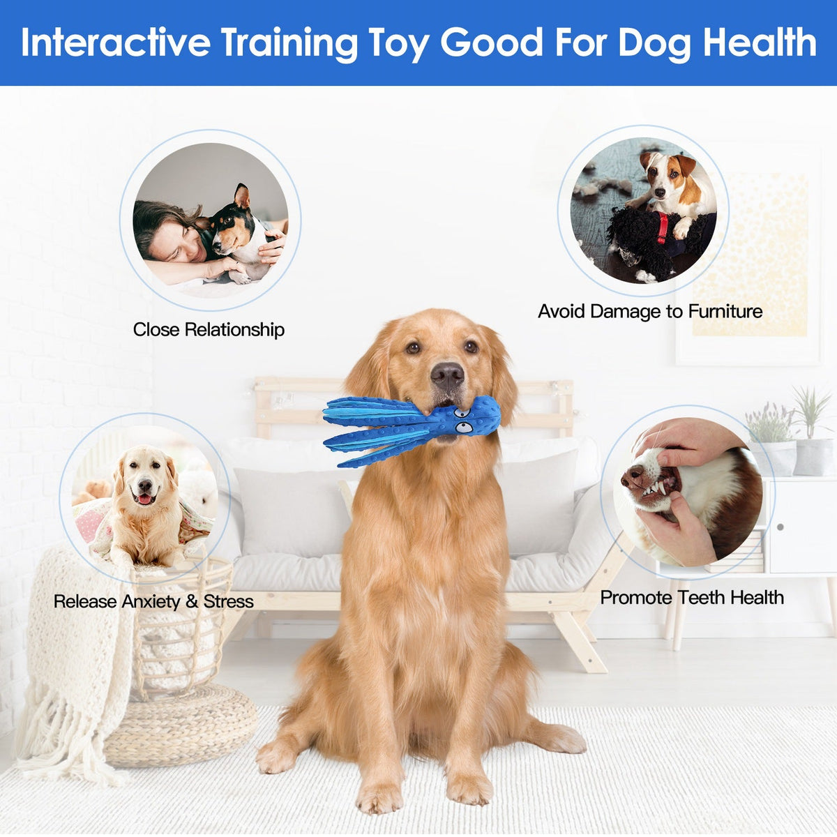 GBruno 2Pcs Squeaky Dog Toys