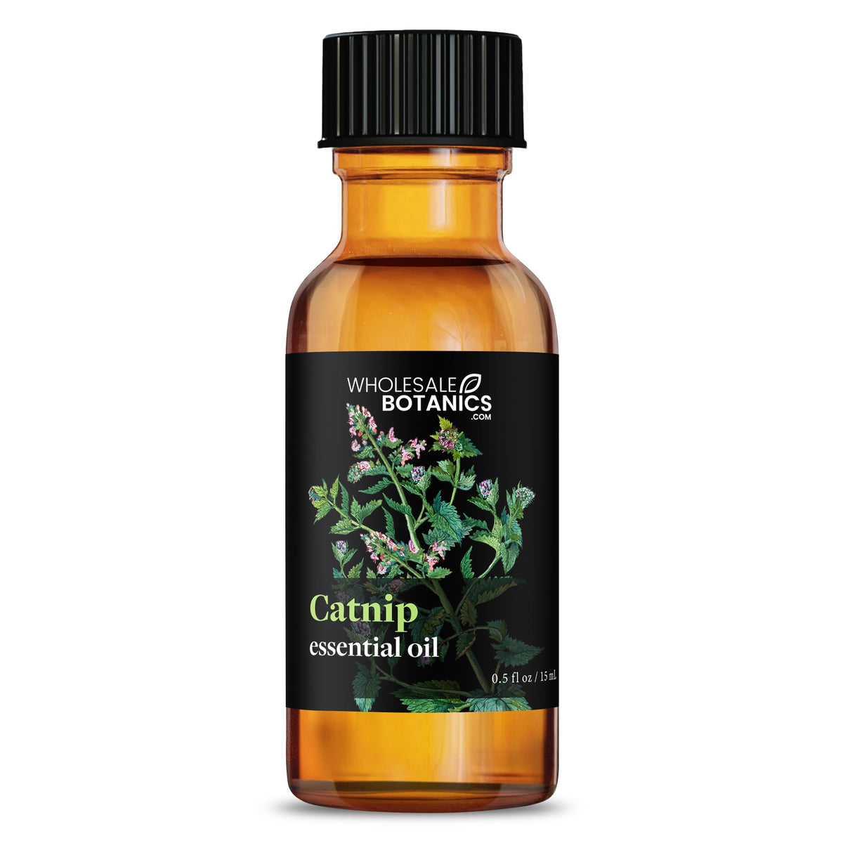 Catnip Essential Oil