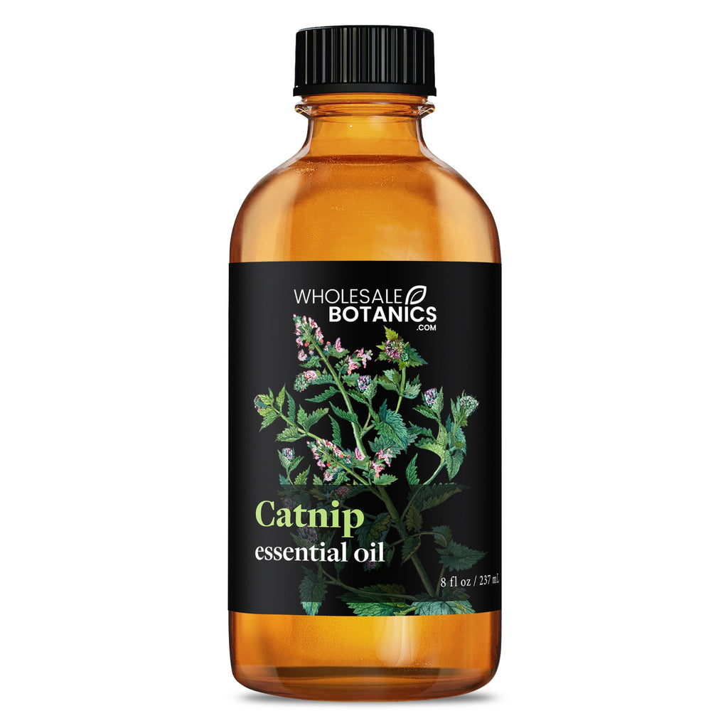 Catnip Essential Oil