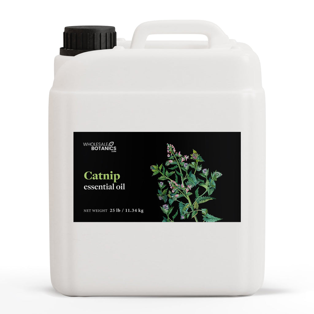 Catnip Essential Oil