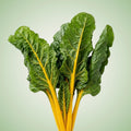Chard (Gold) Seeds