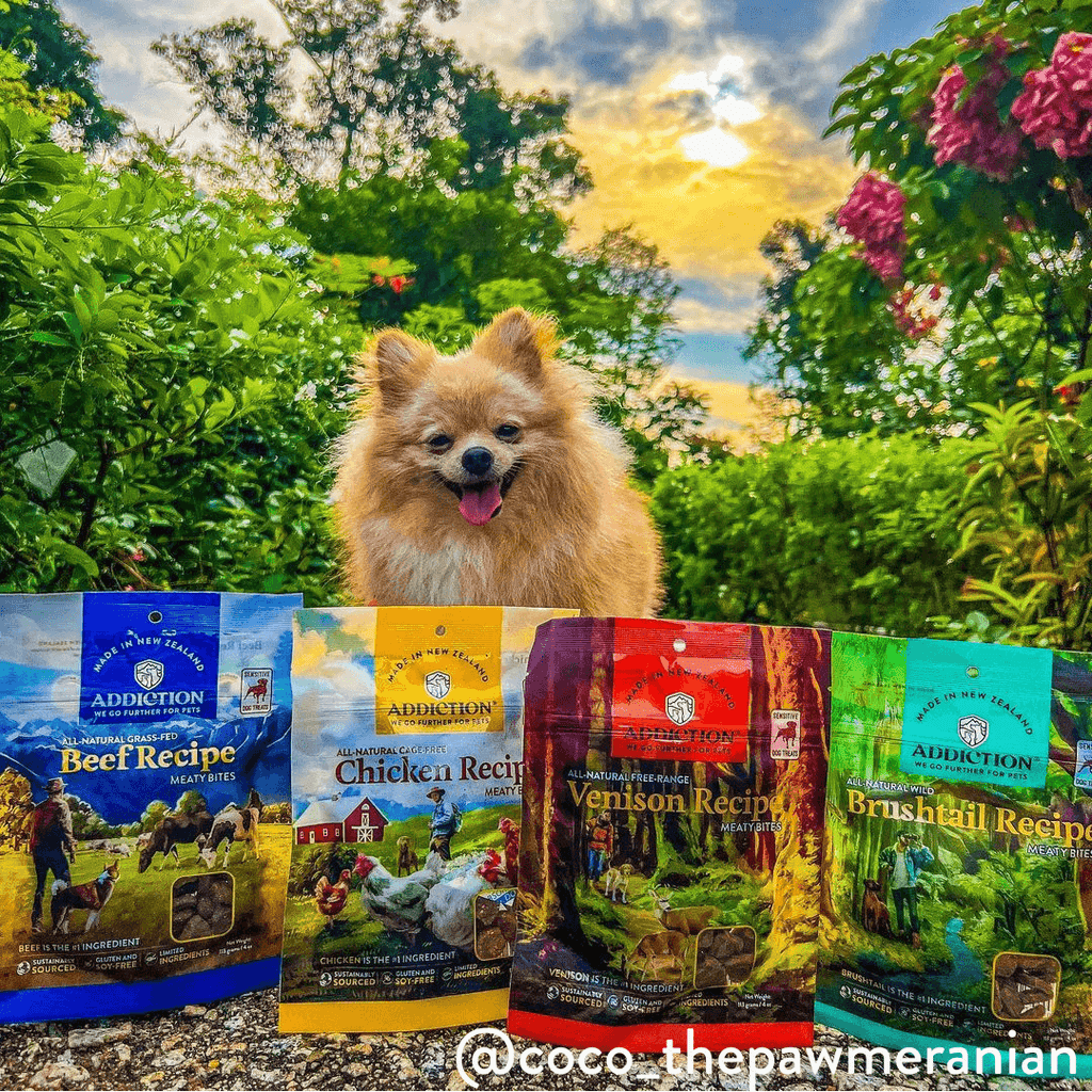 Chicken Meaty Bites - Hypoallergenic Dog Treats