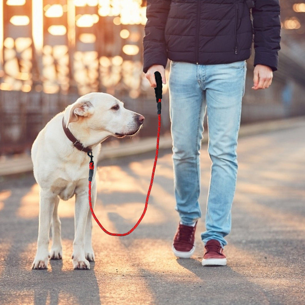 GBruno 5FT Dog Leash Dog Training Walking