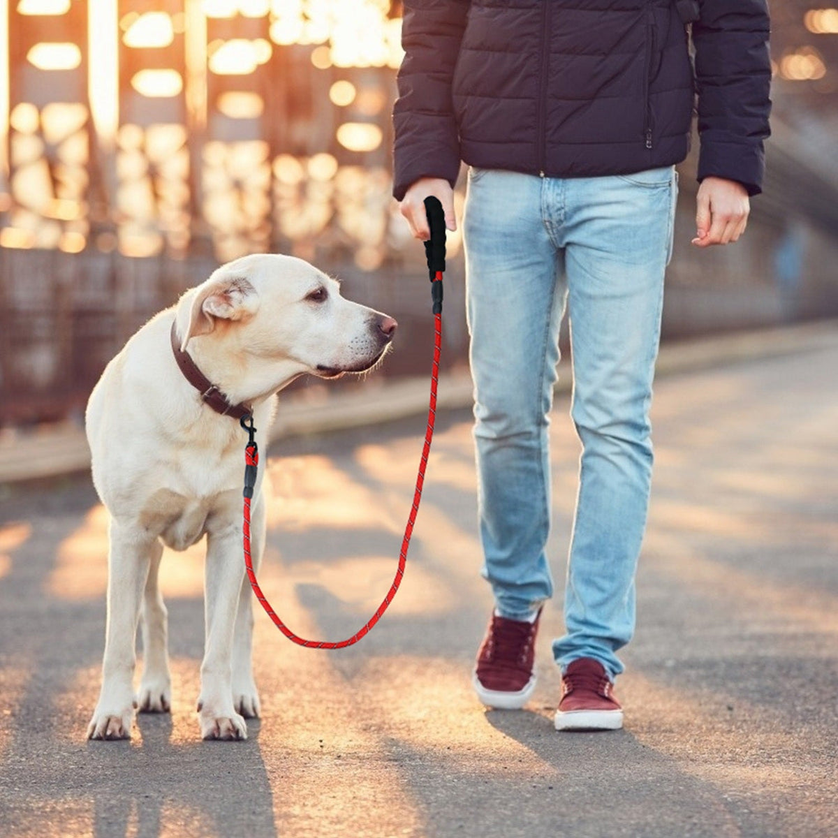 GBruno 5FT Dog Leash Dog Training Walking