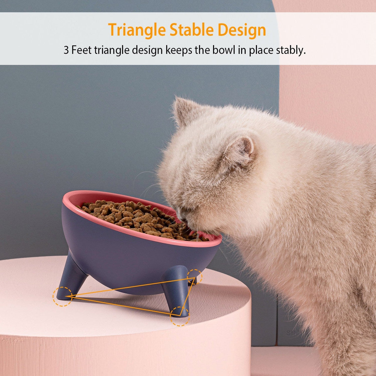 Raised Tilted Elevated Cat Food Bowl Pet Backflow Prevention Water Dish Feeding Bowl for Cats Small Dogs