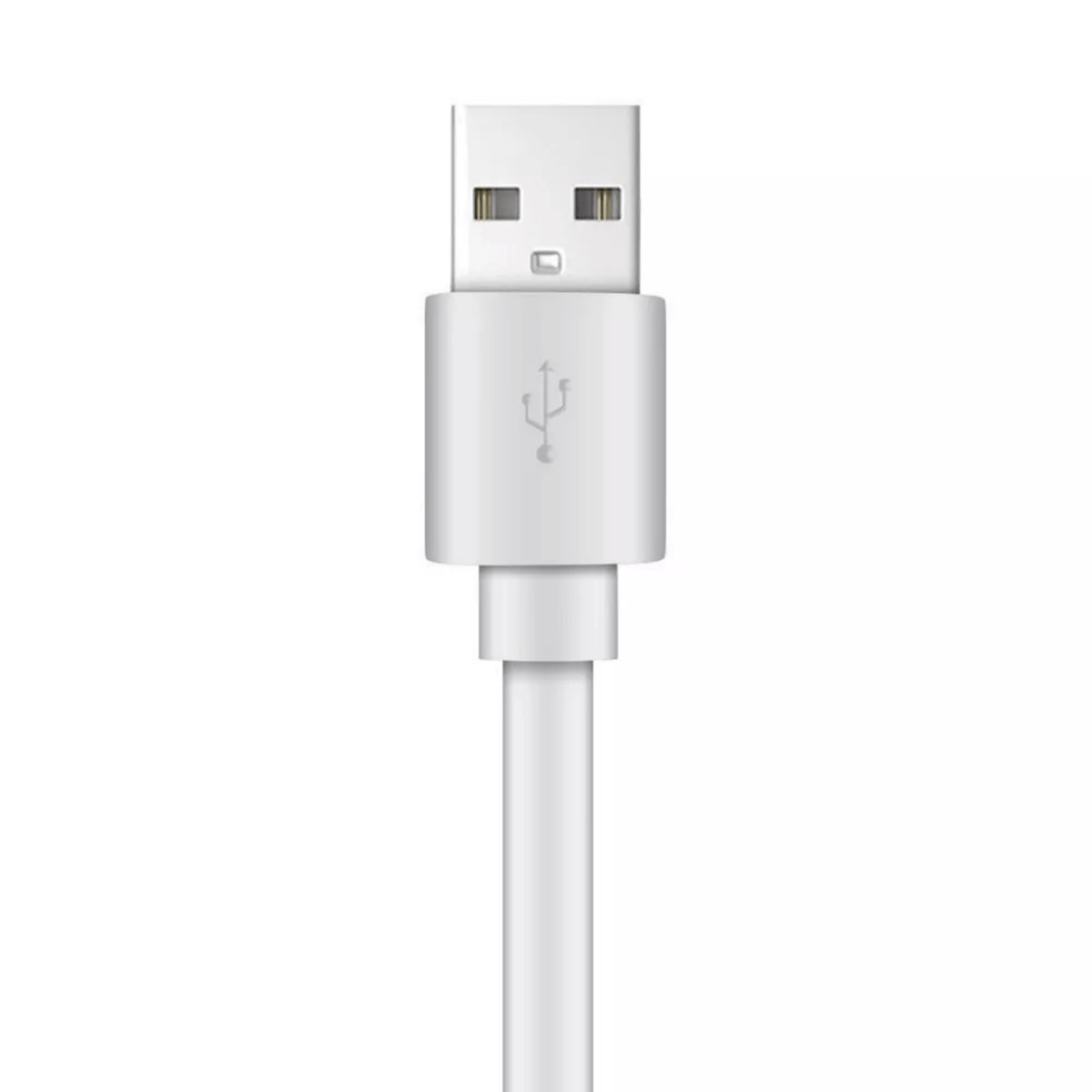 Xyst Charge and Sync USB to Lightning Flat Cable 4Ft