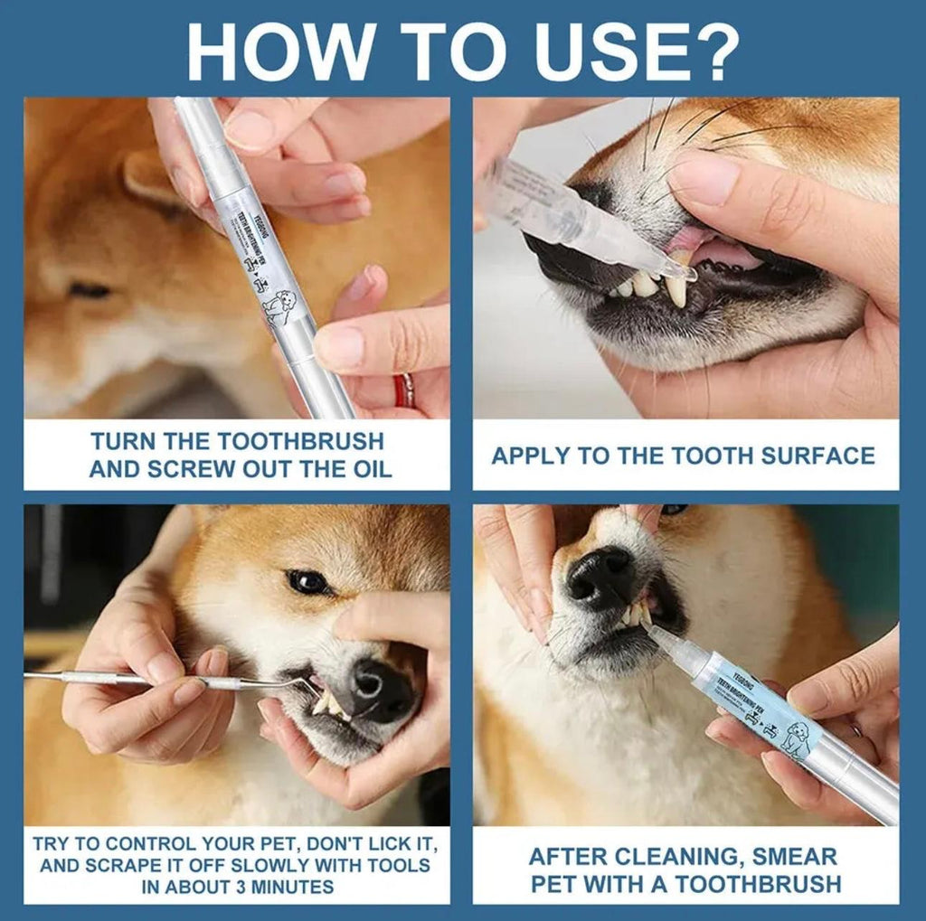 PearlyPaws Dental Kit