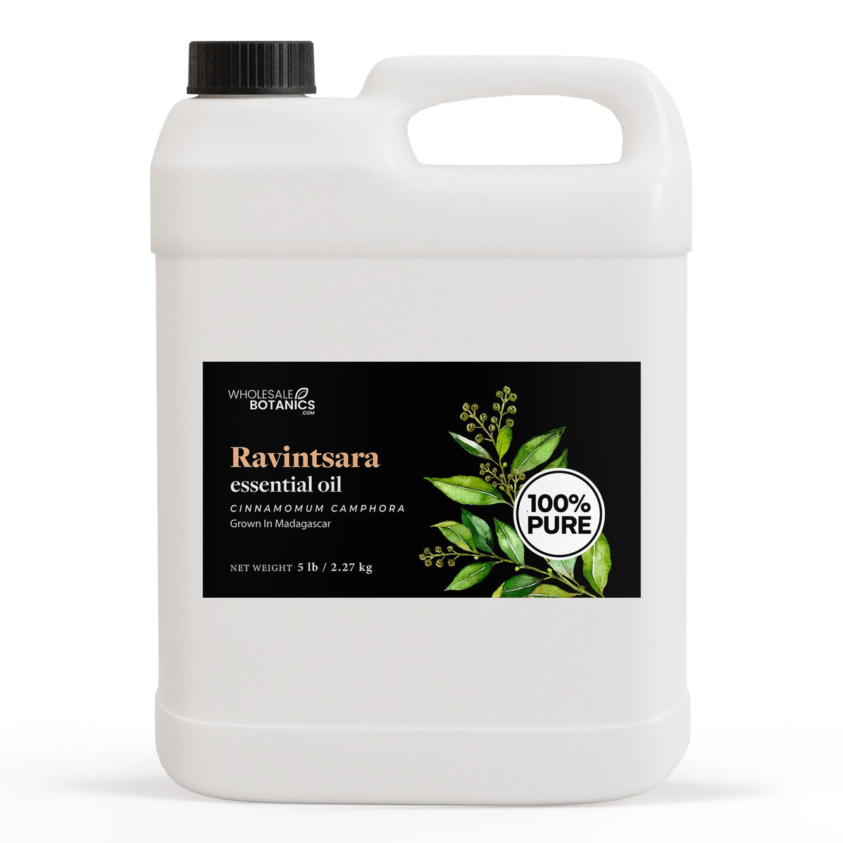 Ravintsara Essential Oil