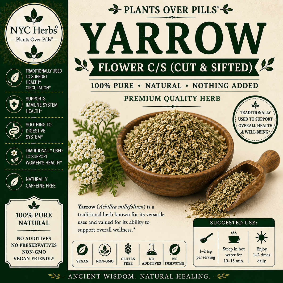 Yarrow Flower | Resilience, Circulatory Balance & Healing