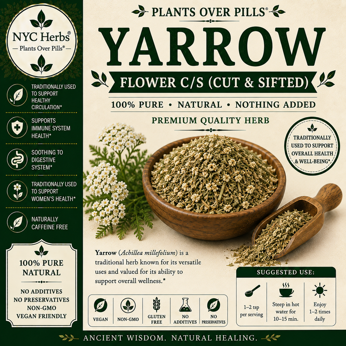 Yarrow Flower | Resilience, Circulatory Balance & Healing