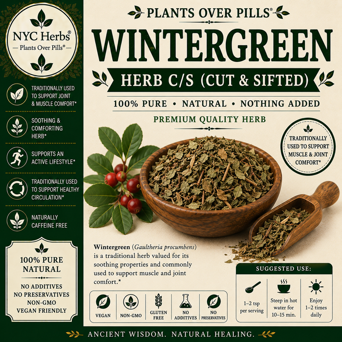 Wintergreen Herb | Pain Relief, Cooling Comfort & Respiratory Support