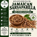 Jamaican Sarsaparilla Root | Detox, Joint & Vitality Support