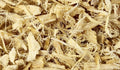 Licorice Root