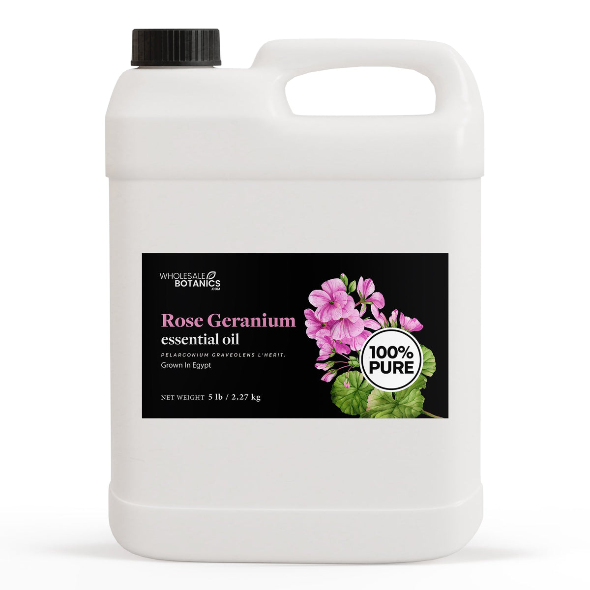 Rose Geranium Essential Oil