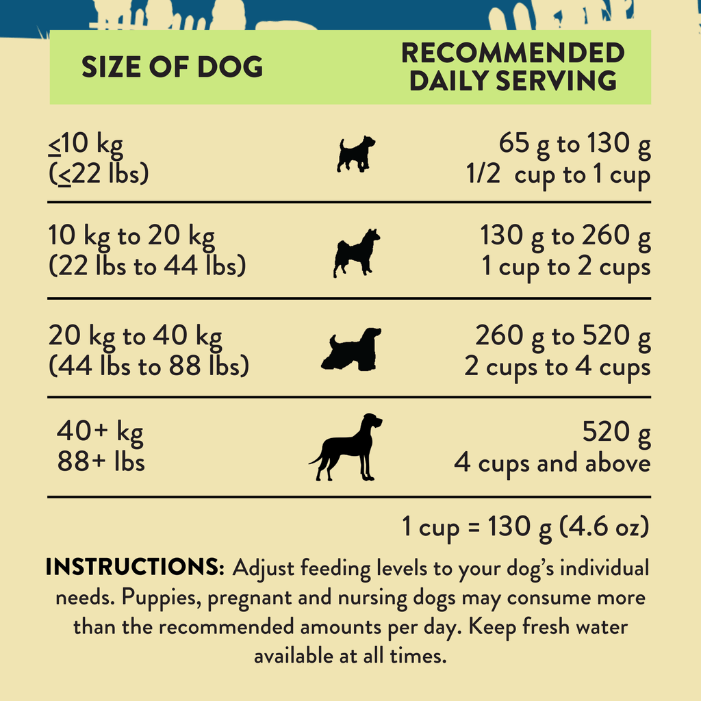 Steakhouse Beef & Zucchini Air-Dried Dog Food