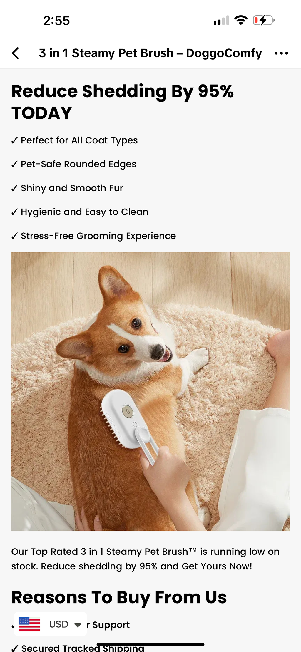 Steamy Hair Brush