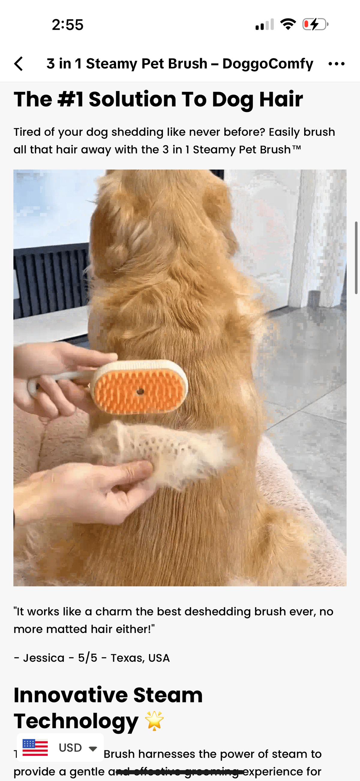 Steamy Hair Brush