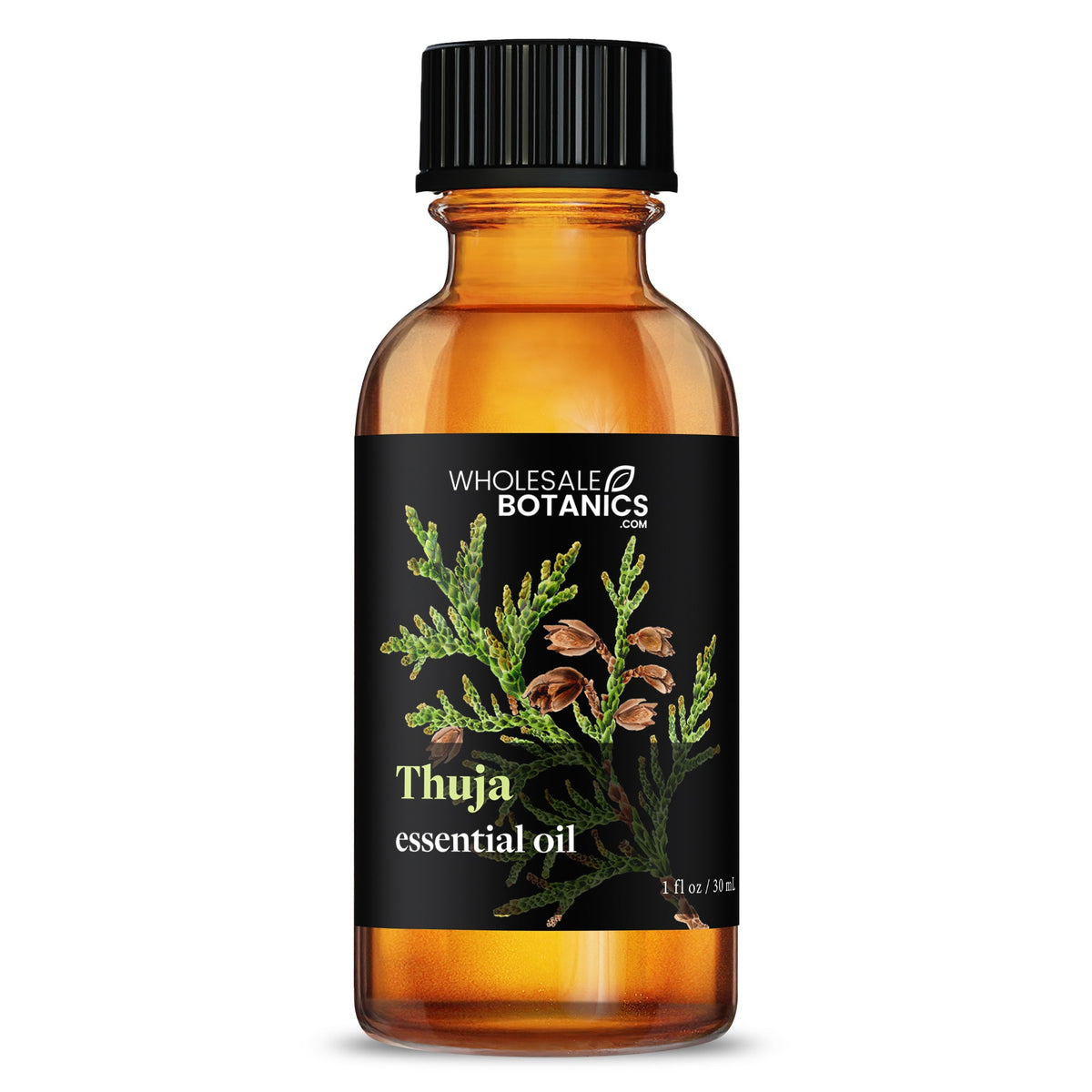 Thuja Essential Oil