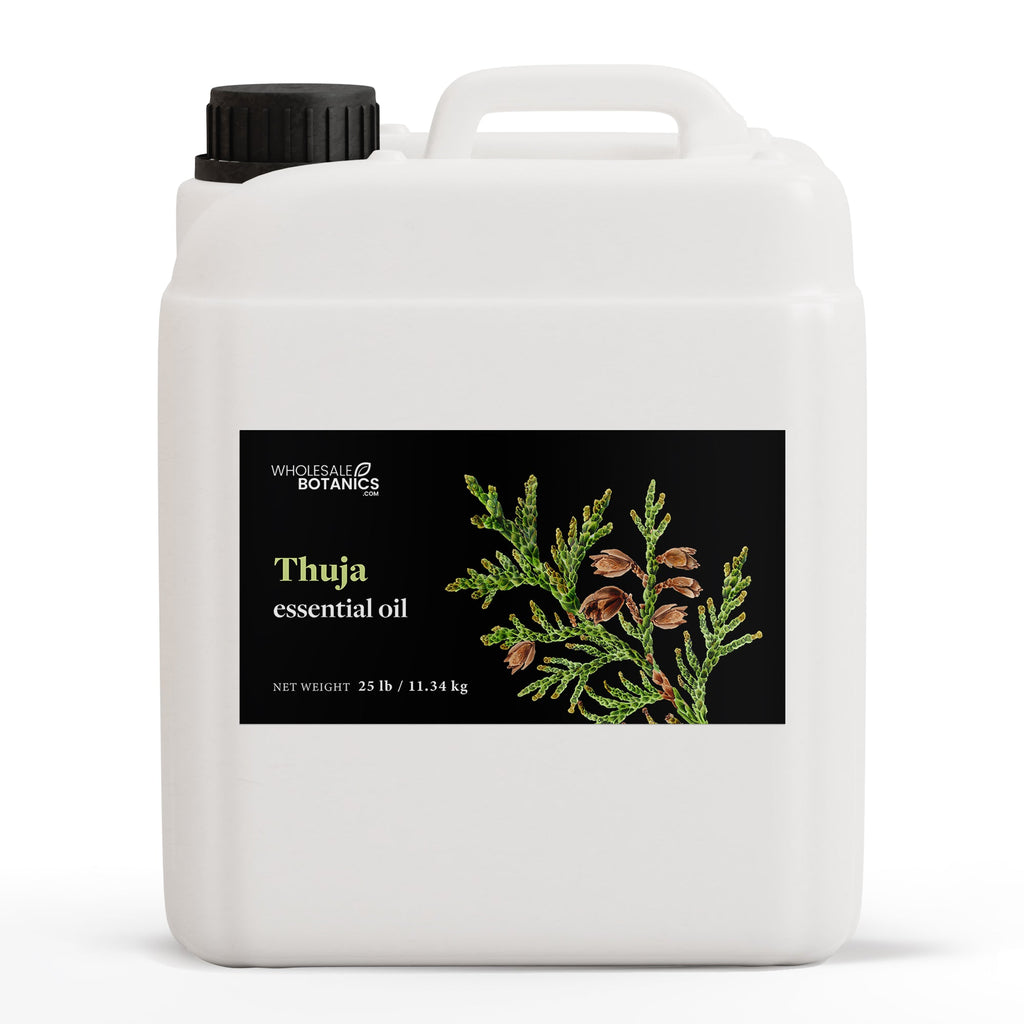 Thuja Essential Oil