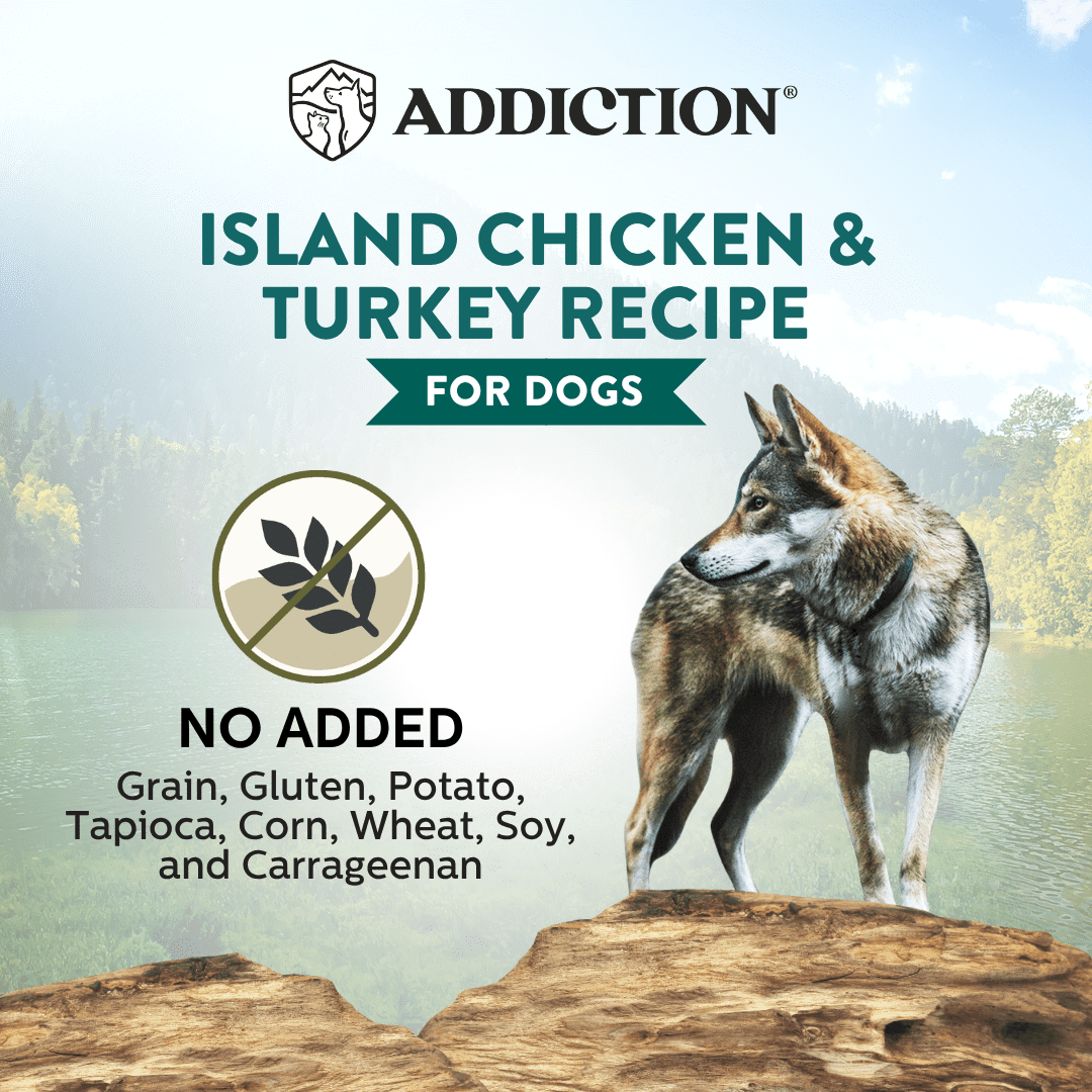 Wild Islands Canned Dog Food Mix Flavor Bundle 185g