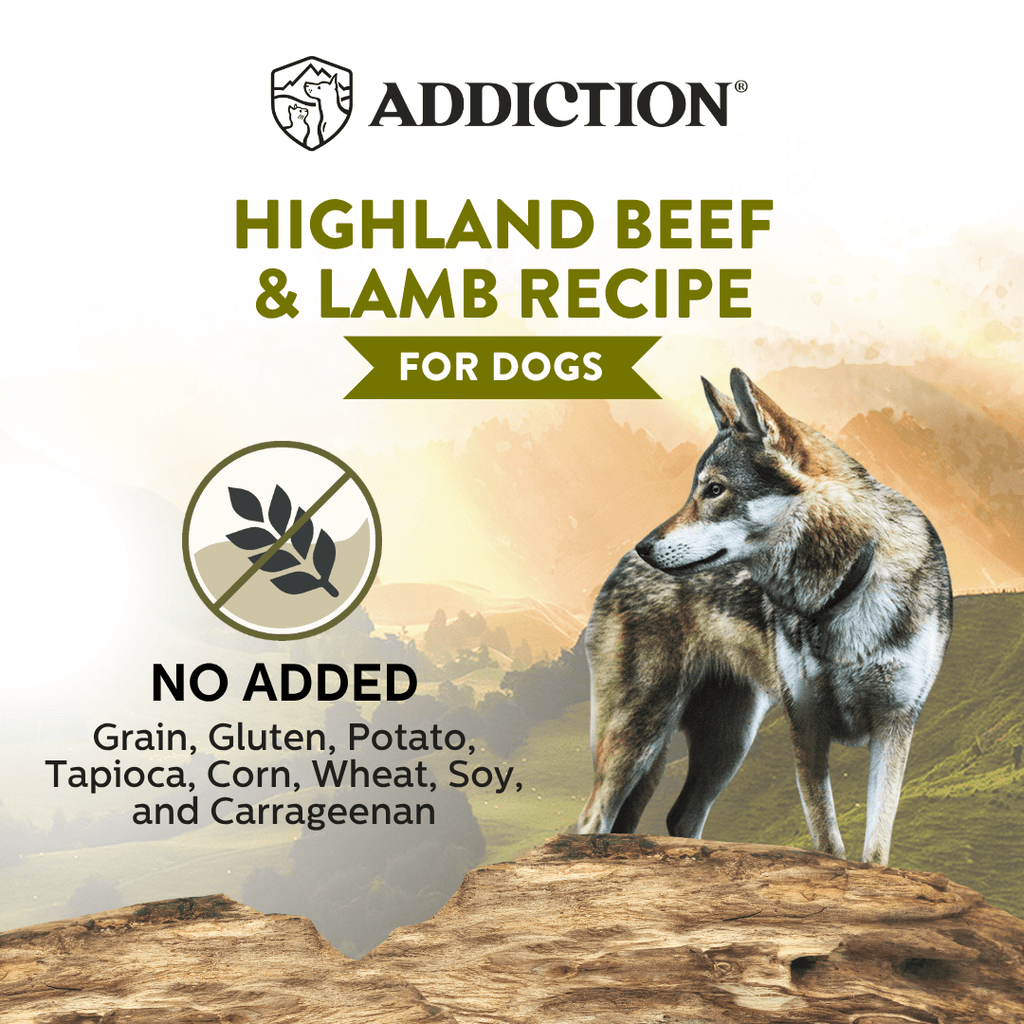 Wild Islands Highland Beef & Lamb Recipe Premium Grain-free Canned Dog Food 185g