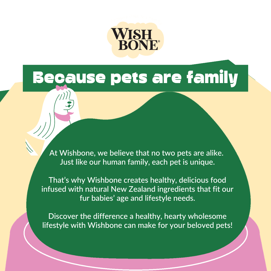 Wishbone Air-Dried Ocean Fish & Lamb Recipe Dog Food - 454g
