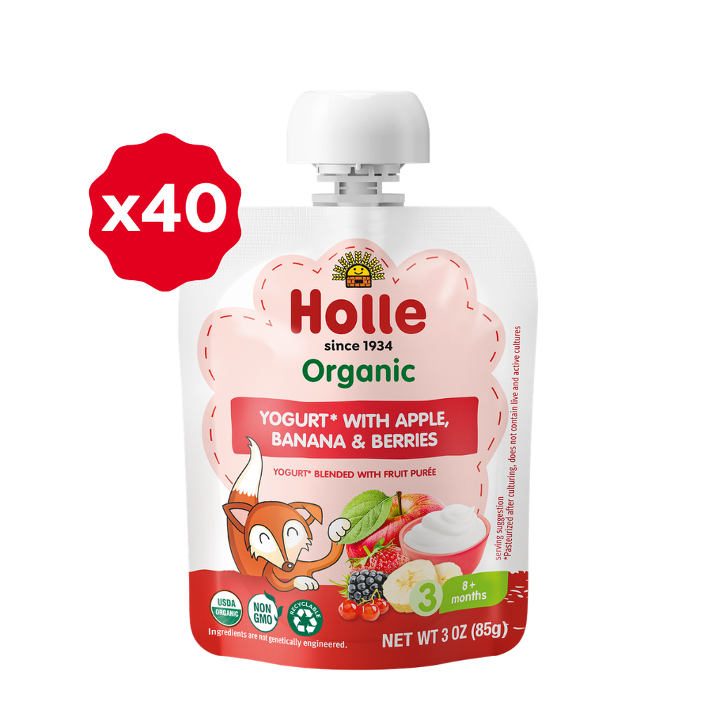 Holle Organic Apple, Banana & Berries Yogurt Pouches